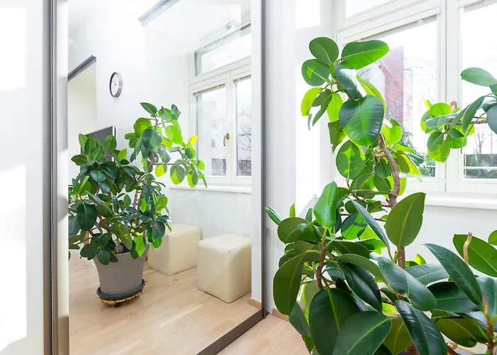 Rooftop Flower Power Appartement *