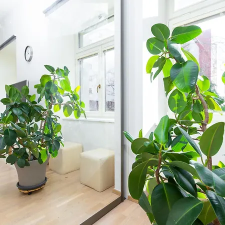 Rooftop Flower Power Appartement *